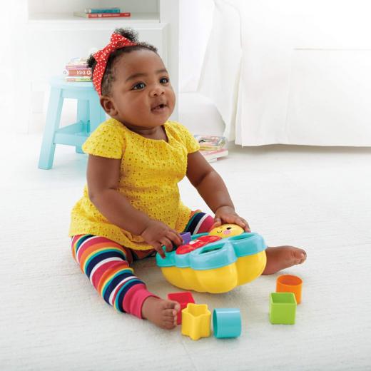 Fisher-Price Butterfly Shape Sorter