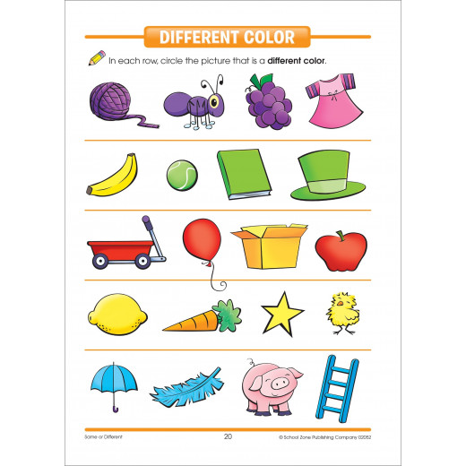 School Zone - Pre Same or Different Workbook