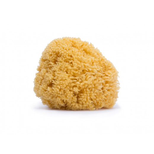 Suavinex Natural Sponge - Small