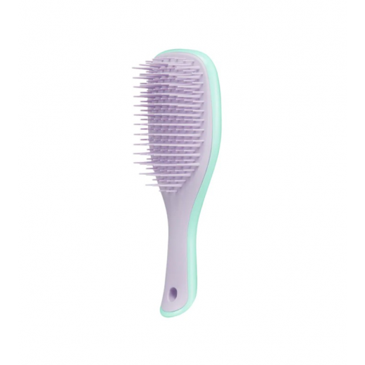 Tangle Teezer the Wet Detangler Mini Small Mint Lilac Brush