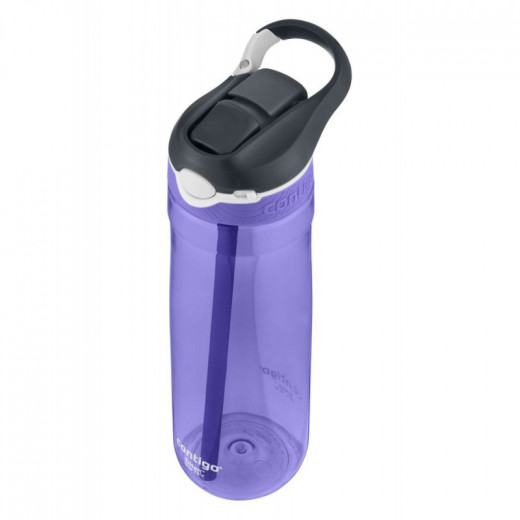 Contigo Autospout Ashland Water Bottle  720 ml, Grapevine