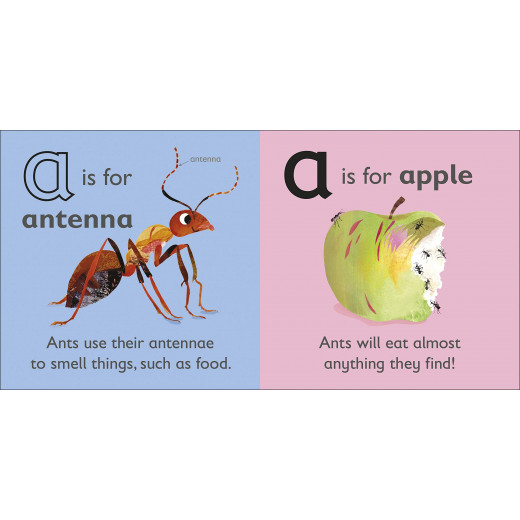 DK Book: A is for Ant