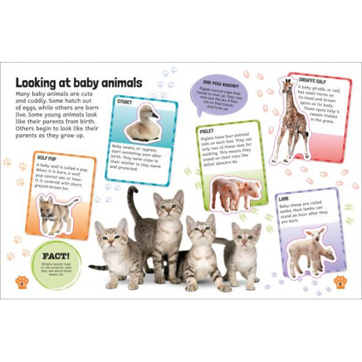 كتاب:موسوعة ملصقات اطفال الحيوانات من دي كي