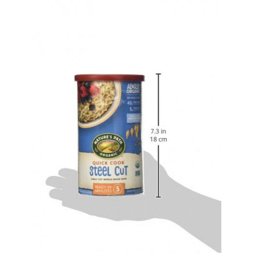 Nature's Path Organic Quick Cook Steel Cut Oat, 680gram