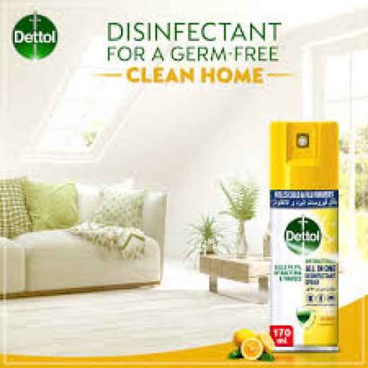 Dettol Anti-Bacterial Disinfectant Spray, 170ml