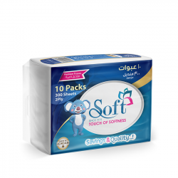 Soft Tissues Nylon Pack, 300 Sheet, 2 Ply ,10 Pieces