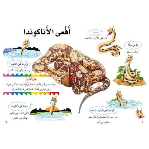 Dar Al Manhal My First Questions And Answers: Rainforests