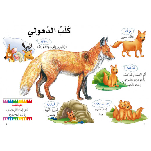 Dar Al Manhal My First Questions And Answers: Dogs