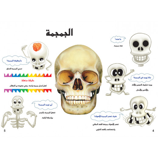 Dar Al Manhal My First Questions And Answers: The Human Body