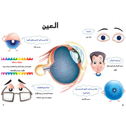 اسئلتي واجوبتي الاولى: جسم الانسان من دار المنهل