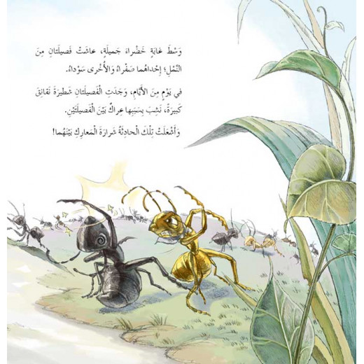 Dar Al Manhal Stories: Fantasy Series: 09 Ant Ball