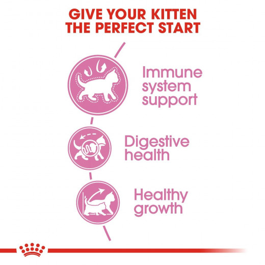 Royal Canin Kitten Food, 800 Gram