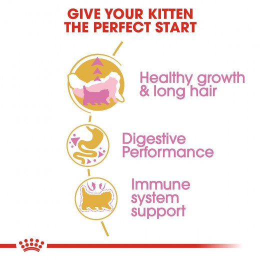 Royal Canin Kitten Persian, Cat Food, 2 Kg