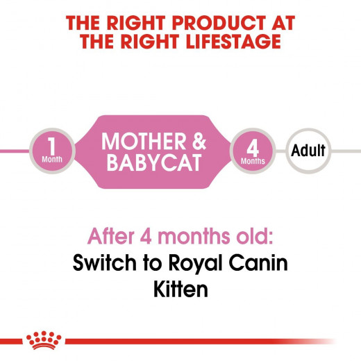 Royal Canin Baby Cat East Instinctive, 195 Gram