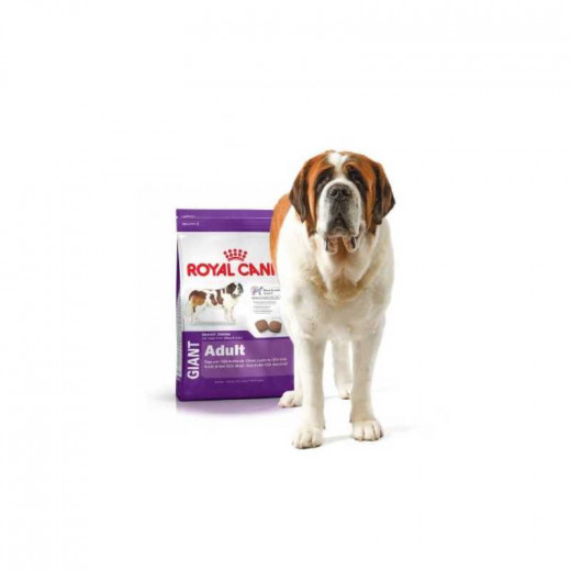 Royal Canin Giant Adult Dry Dog Food, 15 Kg