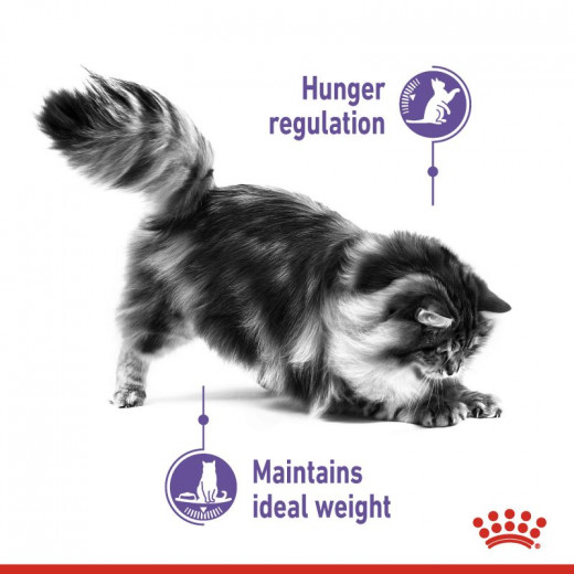 Royal Canin Appetite Control Care Cat Food, 2 Kg