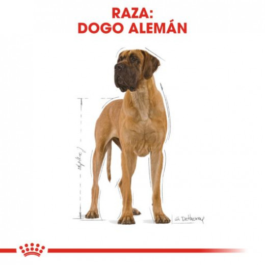 Royal Canin Adult Great Dane Dogs Food, 12 Kg