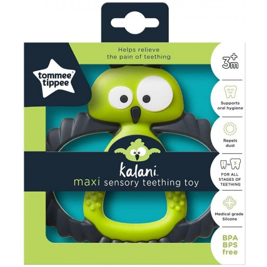 Tommee Tippee Kalani Sensory Teether Maxi, +3 Month, Green Color