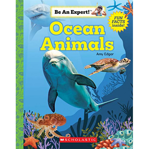 Ocean Animals (Be An Expert!)