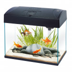 Aquarium Fish Tank Mini, Black Color, Size: 37 * 23.5 * 33.5 Cm, 20 Liter