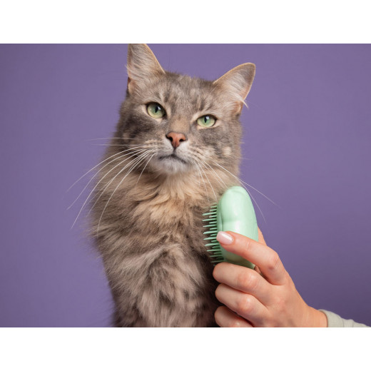 Tangle Teezer Cat Brush, Green