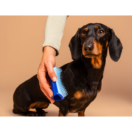 Tangle Teezer Dog Deshedding, Small Size, Blue