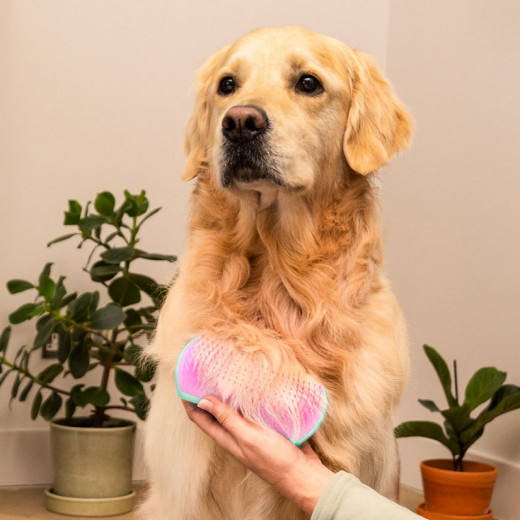 Tangle Teezer Dog Deshedding, Large Size, Yellow & Pink