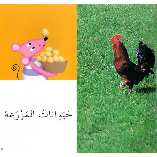 Photo Images of the Animals in Arabic script