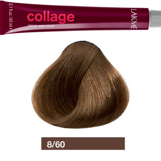 Lakme Collage Chestnut Light Blonde Cream Hair Color 8/60