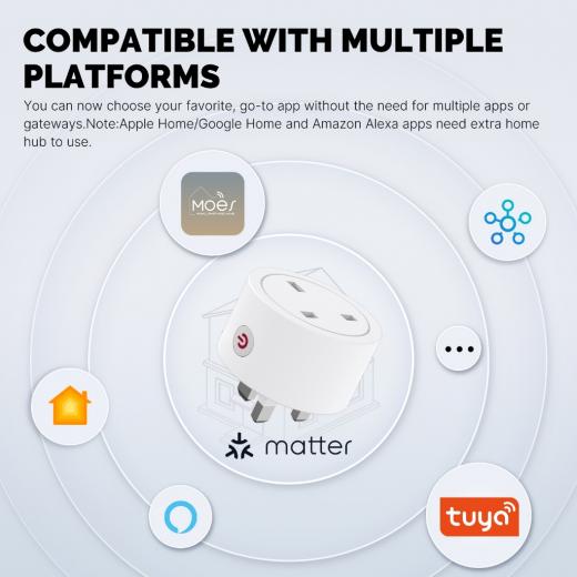 Moes Smart Matter Plug