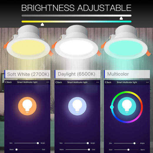 Moes Wifi Downlight