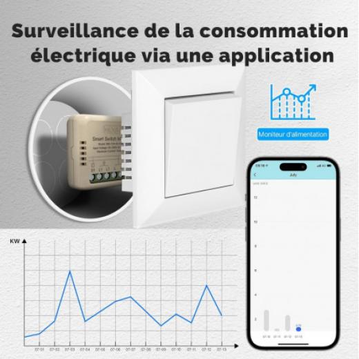 Moes Tuya Wifi On/off Module 1 Channel + Consumption Measurement