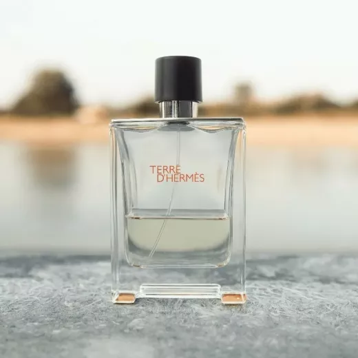 Terre D Hermes Eau De Toil 100ml Ns