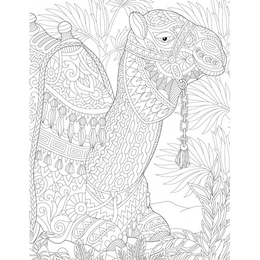 Dreamland Dreamlike Coloring Book for Adults