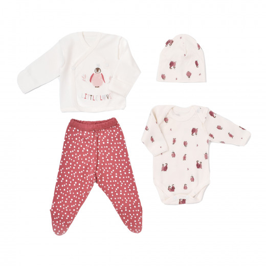 BiOrganic Li̇ttle Love Newborn Set Pink (4 Years)