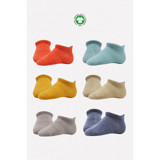 Bistyle 6-Pairs Combed Liner Socks (0-6 m) Colored