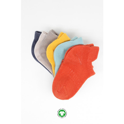 Bistyle 6-Pairs Combed Liner Socks (24-36 m) Colored