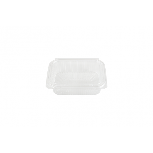 RZ Plastic Containers Rectangle Hinged 750 cc - 25 PCS